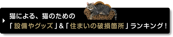 鈴木砂羽スペシャルインタビュー やわらかな心と暮らす 猫がすき 暮らしスタイルマガジン マドリーム