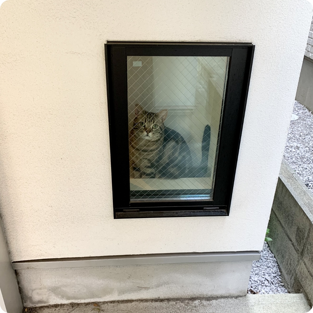 1階の猫用の窓。靴箱と壁の隙間なので、猫しか入れない場所だが明かり取りにもなる。