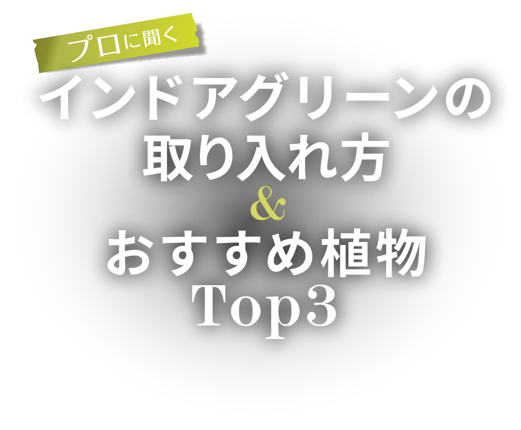 プロに聞く インドアグリーンの取り入れ方＆おすすめ植物Top3