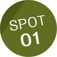 SPOT01