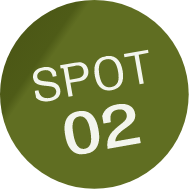 SPOT02