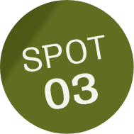 SPOT03