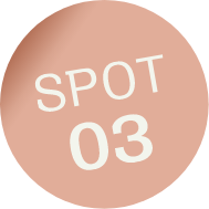 SPOT03