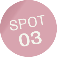 SPOT03