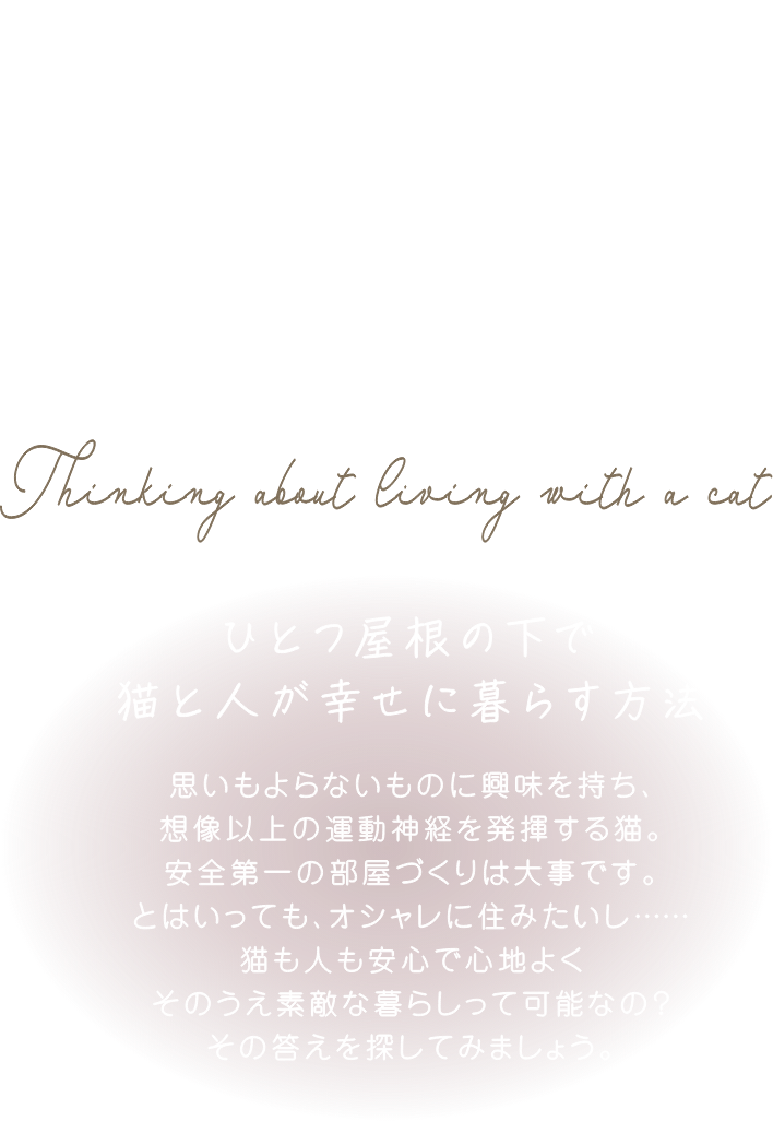 猫と楽しく、安全に暮らす2つのお部屋を紹介します