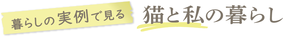 暮らしの実例で見る猫と私の暮らし