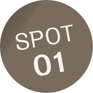 SPOT01