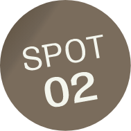 SPOT02