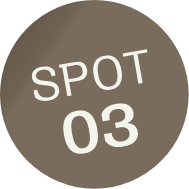 SPOT03