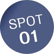 SPOT01