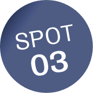 SPOT03