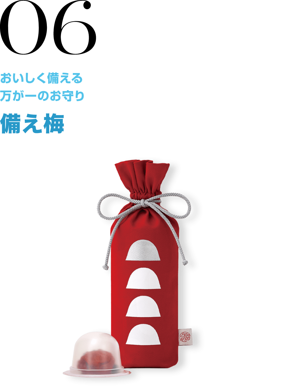 06 おいしく備える万が一のお守り 備え梅