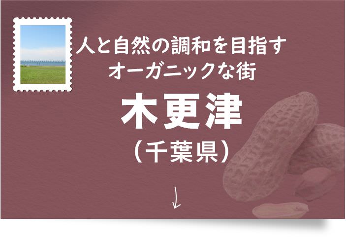 木更津（千葉県）