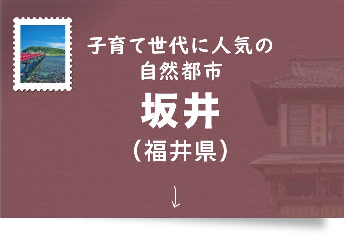 坂井（福井県）