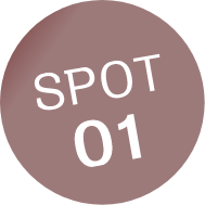 SPOT01