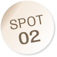SPOT02