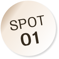 SPOT01