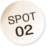 SPOT02