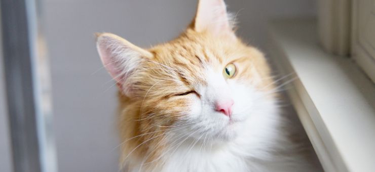 お部屋の実例紹介