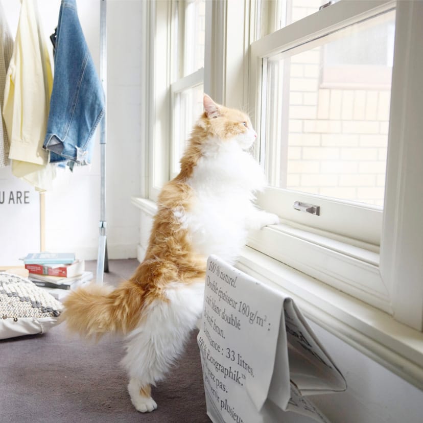 Special Interview 大友花恋