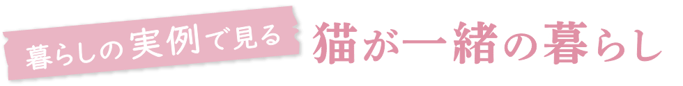 暮らしの実例で見る猫が一緒の暮らし