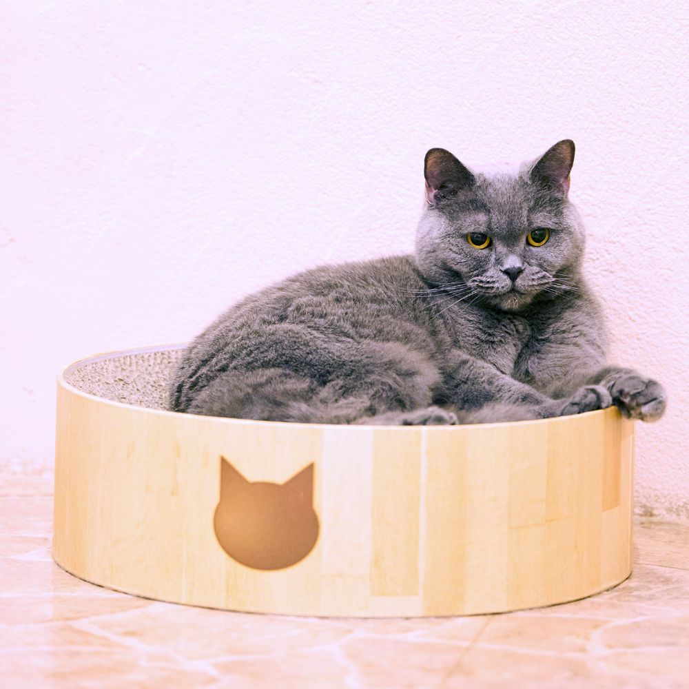 てまりのおしろ