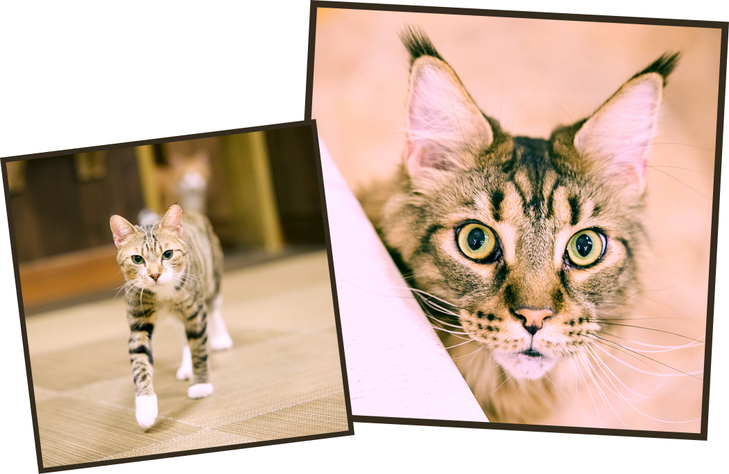 暮らしのスポット