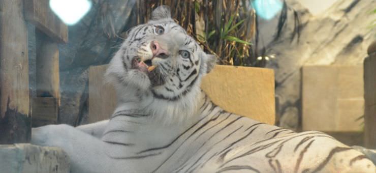 いま住みたい街・吹田