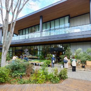 いま住みたい街