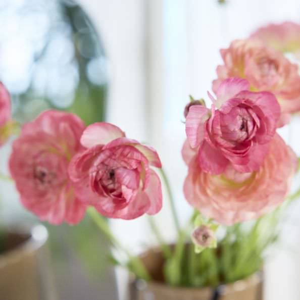 Special Interview 大友花恋