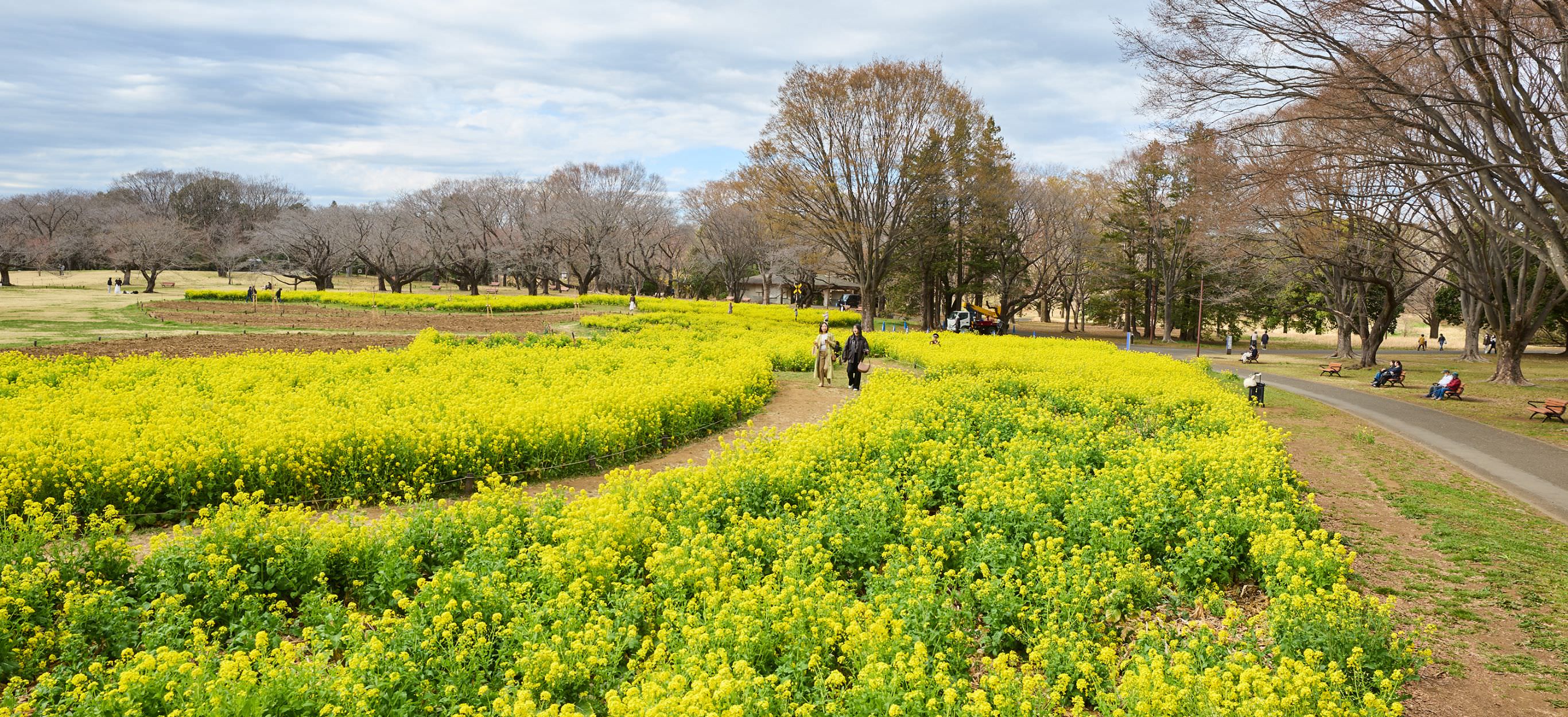 利便性と自然が心地よく調和する 立川（東京都）