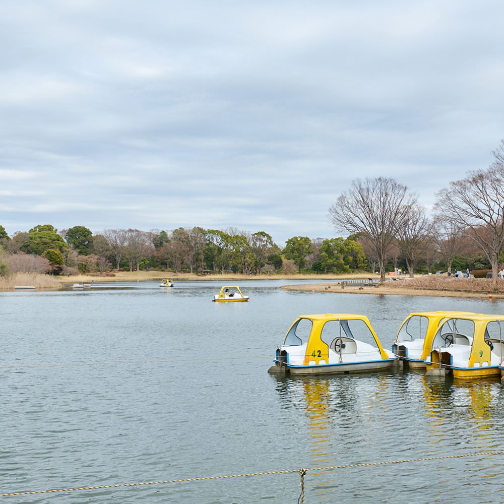 国営昭和記念公園