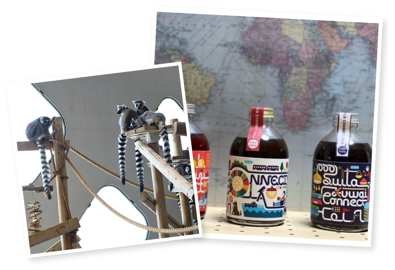 スポット・グルメ