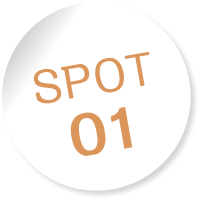 SPOT01