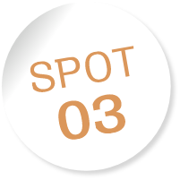 SPOT03