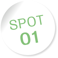 SPOT01