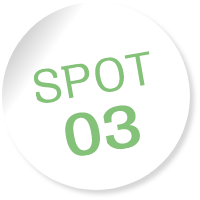 SPOT03