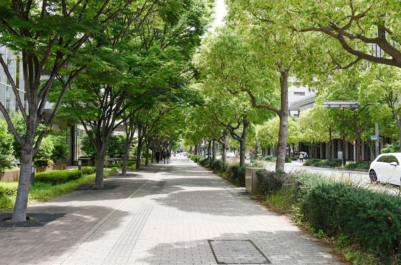 街の歩道