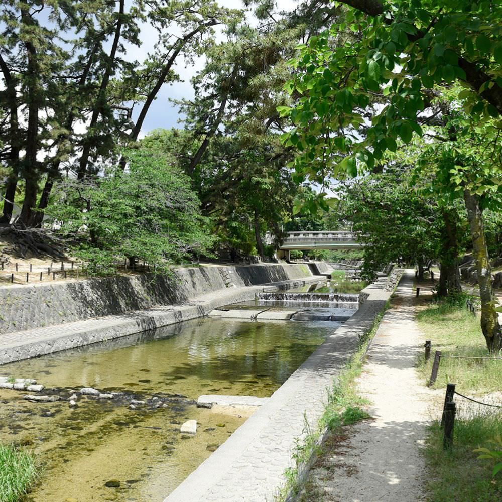 夙川河川敷緑地