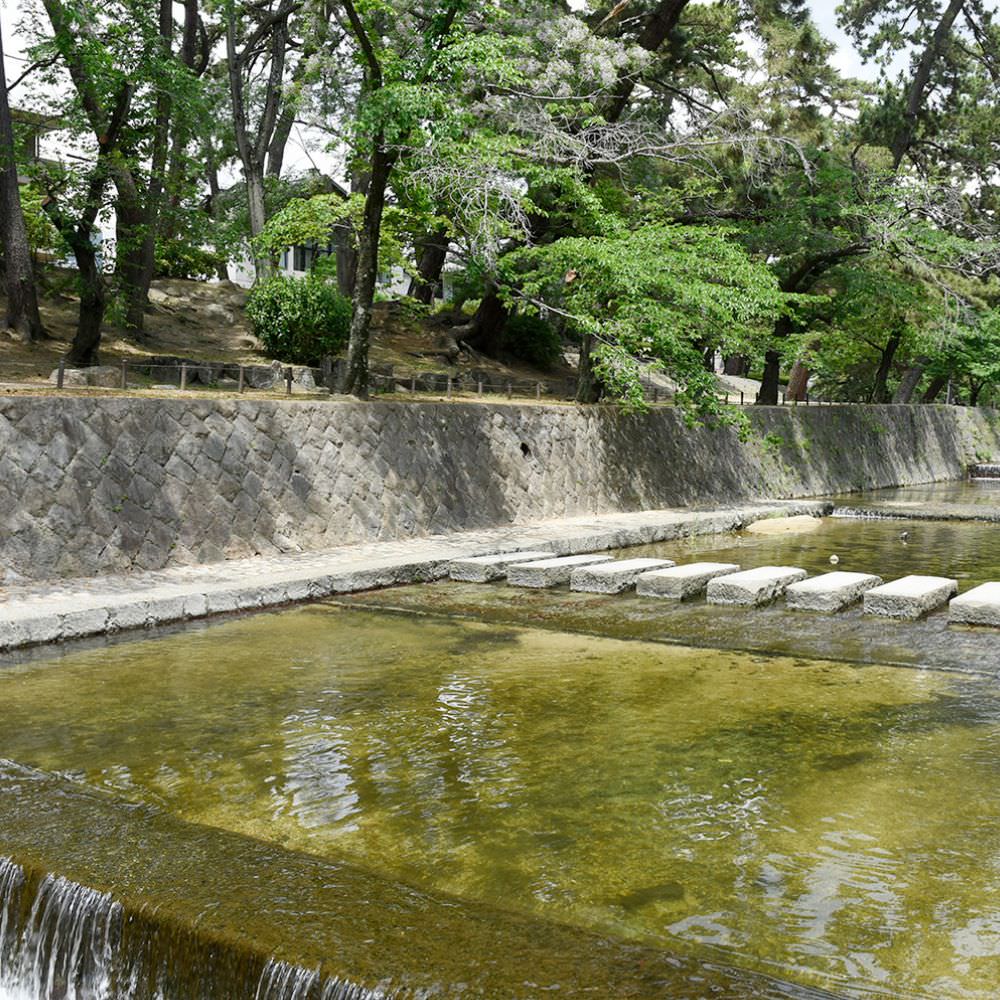 夙川河川敷緑地