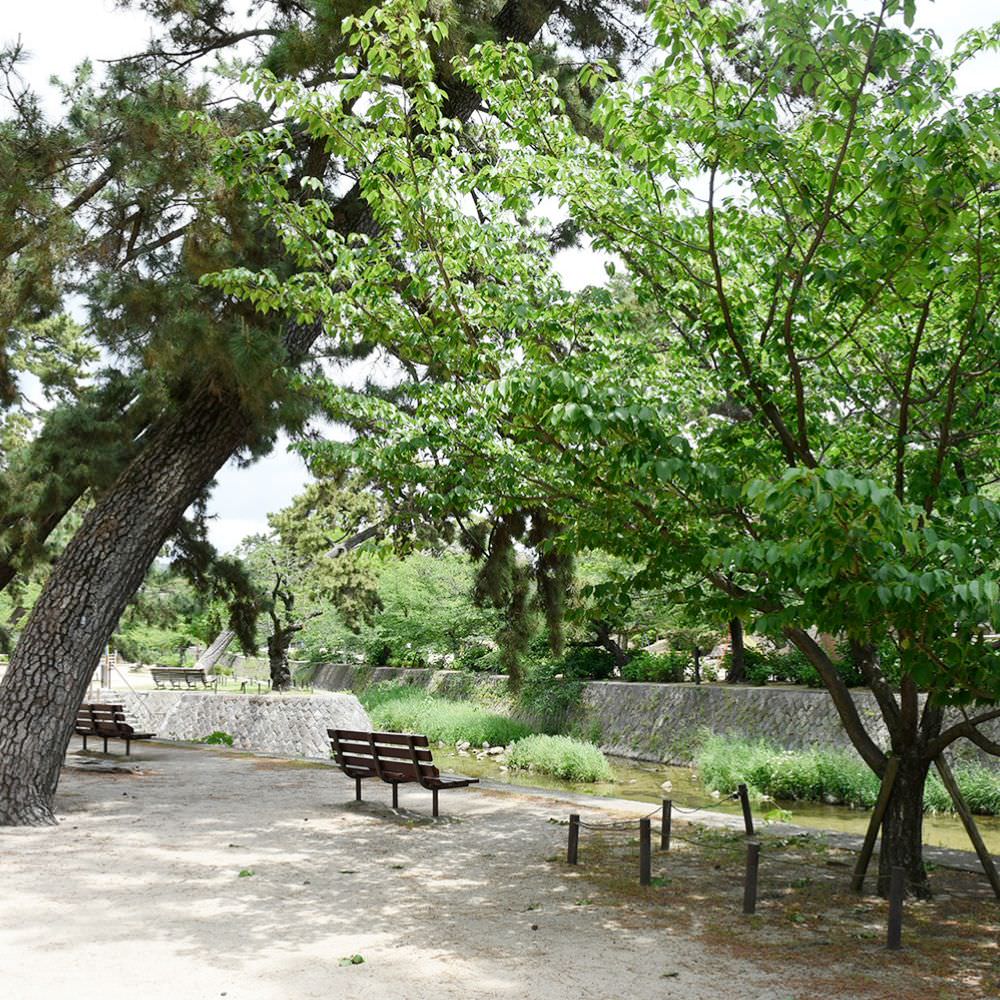 夙川河川敷緑地