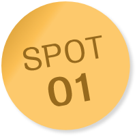 SPOT01