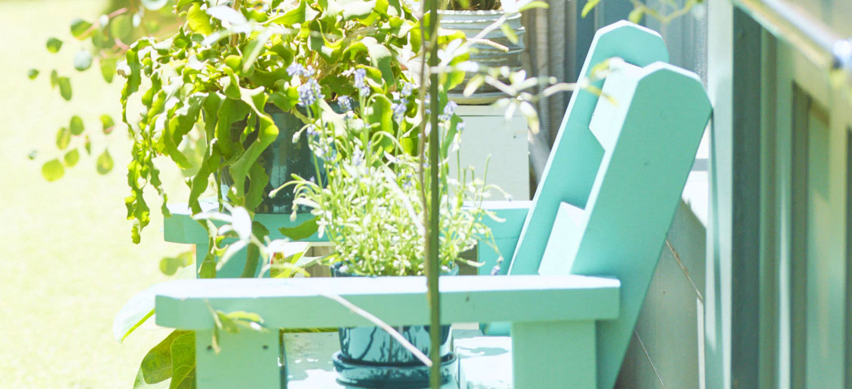 鉢植えの植物に囲まれたグリーンのガーデンベンチ