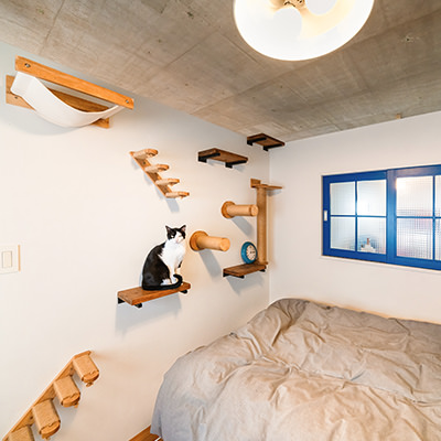 お部屋の実例紹介