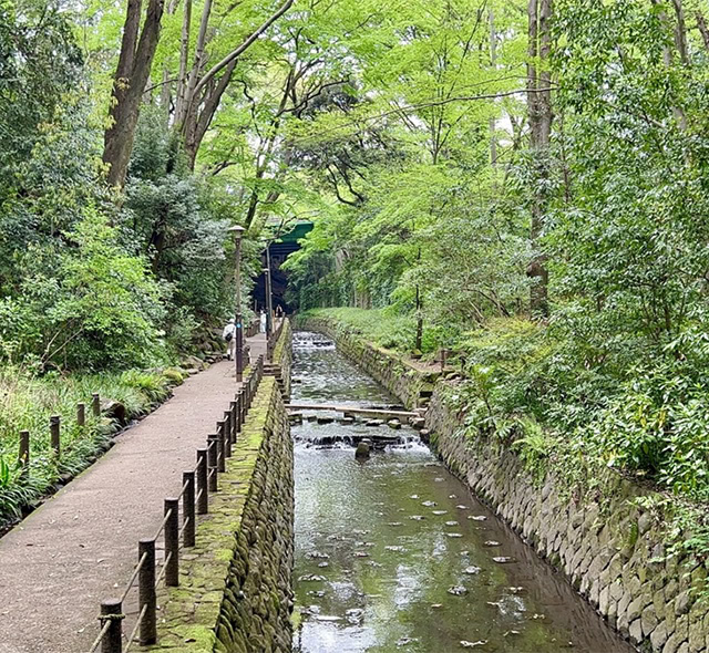 都心なのに自然豊か