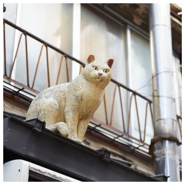 猫を身近に感じる谷中の街を紹介｜暮らしスタイルマガジン｜マドリーム