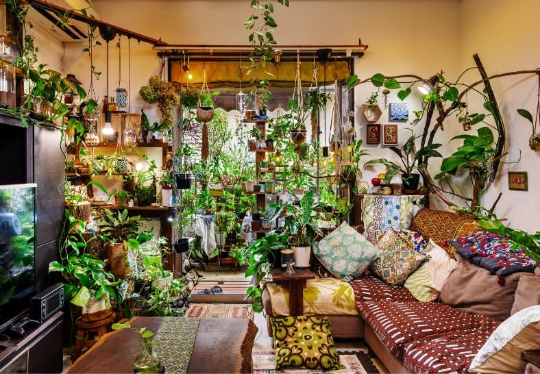 ようこそ！ おうちの中の緑の世界へ 植物いっぱいのお部屋実例を紹介