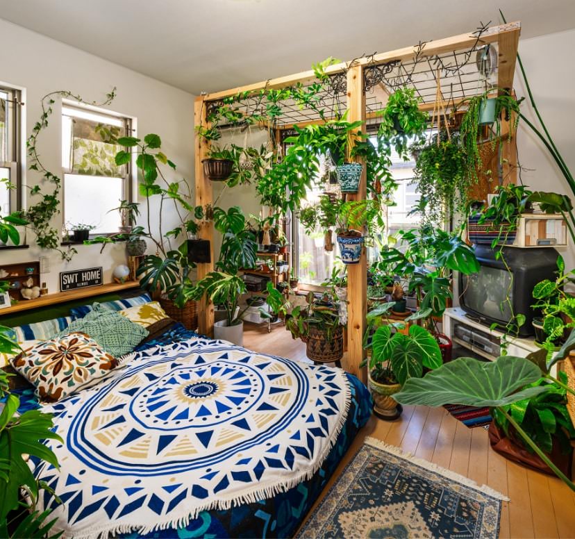 ようこそ！ おうちの中の緑の世界へ 植物いっぱいのお部屋実例を紹介