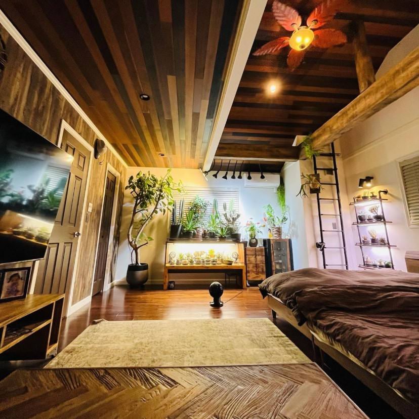 ようこそ！ おうちの中の緑の世界へ 植物いっぱいのお部屋実例を紹介