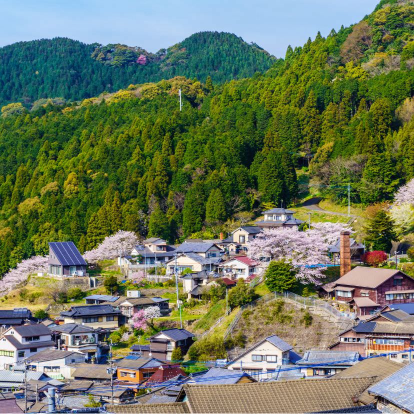 伝統工芸を身近に感じる街、浅草、美濃、波佐見を紹介｜暮らしスタイル
